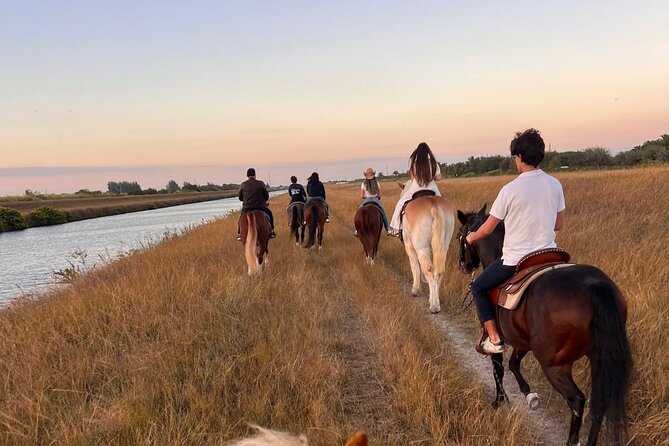 Horseback Riding in Miami - A short introduction to the horses and commands