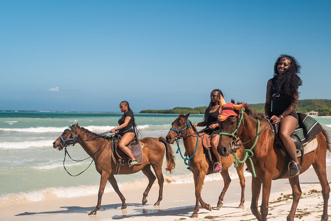 Horseback Riding in Montego Bay - What happens at Sand N’ Saddle in Braco