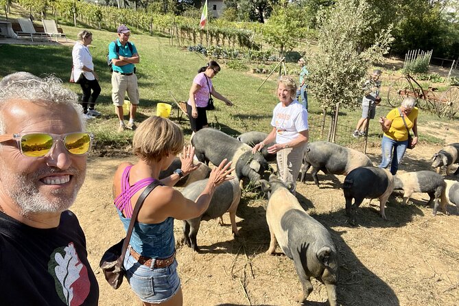 Horseback riding in Montepulciano Tuscany, lunch on the farm - Starting at Fattoria Madonna della Querce