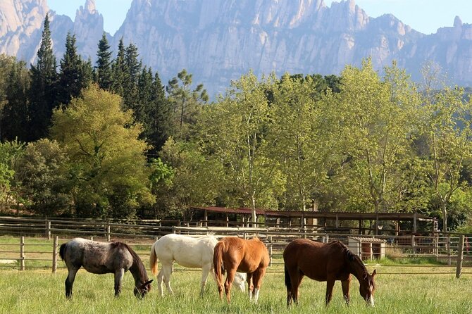 Horseback Riding in Montserrat Mountain Natural Park, Barcelona - 1 to 2 hrs - Horses for adults and ponies for children