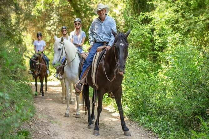 Horseback Riding in Montserrat Mountain Natural Park, Barcelona - 1 to 2 hrs - What the two-hour route feels like