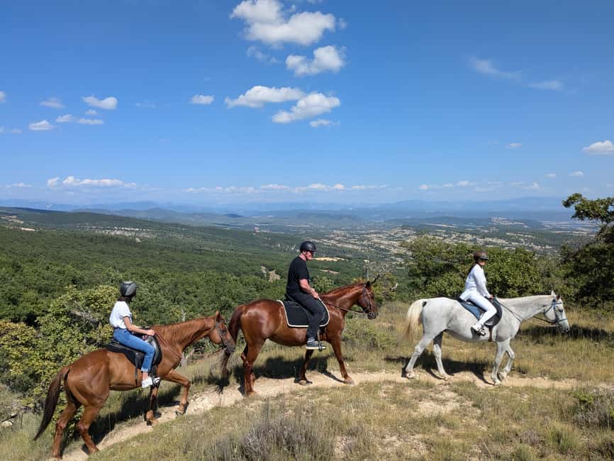 Horseback riding in Provence Luberon - Returning to the center for treats and grooming