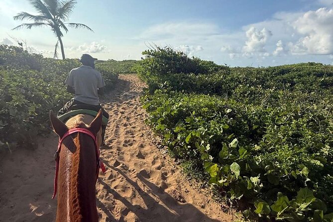 Horseback riding in punta cana beach and Bayahibe - Who will enjoy this ride most