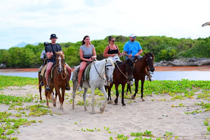 Horseback riding in punta cana beach and Bayahibe - What the two-hour outing feels like