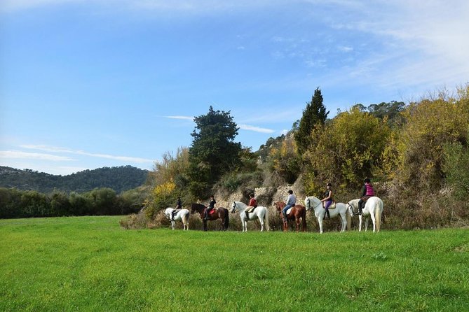 Horseback Riding in Randa Valleys, Mallorca, Spain - Key points to know before you book
