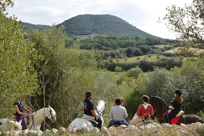 Horseback Riding in Randa Valleys, Mallorca, Spain - Meeting Andalusian horses at the equestrian center