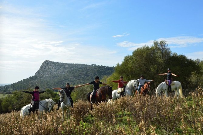 Horseback Riding in Randa Valleys, Mallorca, Spain - The first mounted practice session