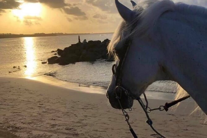 Horseback Riding in Sayulita Through Jungle Trails to the Beach - Reaching Playa Escondida near Sayulita