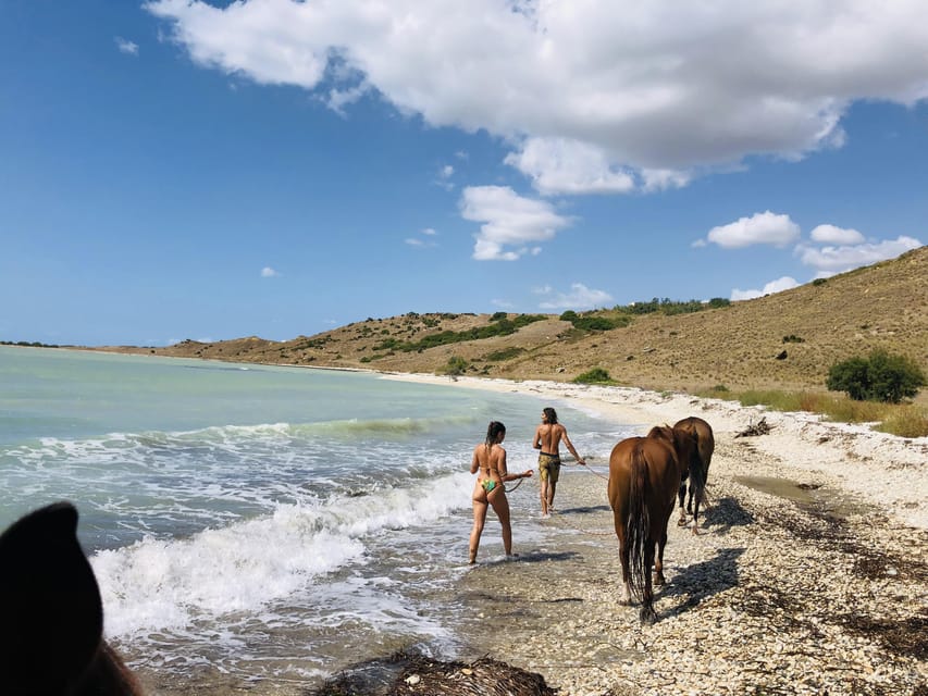 Horseback riding in the beaches of Sciacca - Key points to know before booking