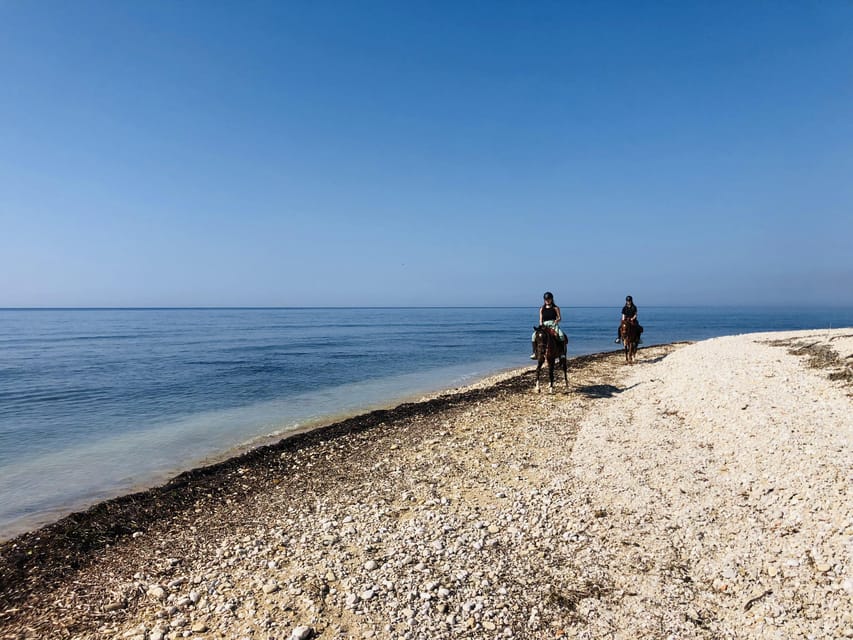 Horseback riding in the beaches of Sciacca - Nino, the horses, and the language question