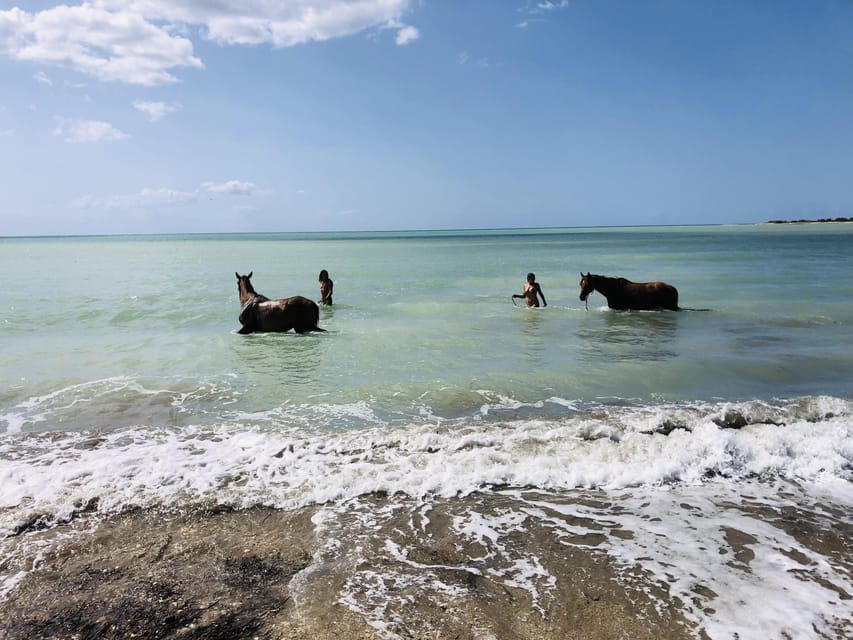 Horseback riding in the beaches of Sciacca - Timing, weather, and practical details