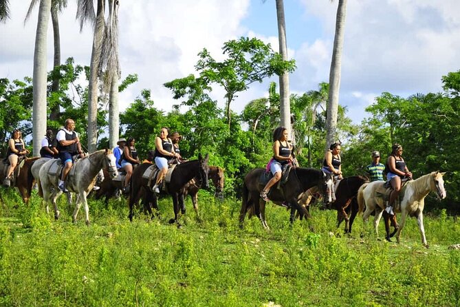 Horseback Riding in the Dominican Jungle - The biggest problem is the conflicting tour description