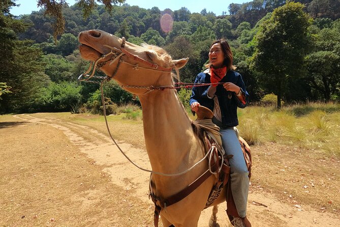 Horseback Riding in the Forest and Breakfast in Cabin - Key points before you book