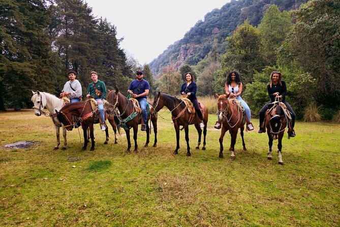 Horseback Riding in the Forest and Breakfast in Cabin - Lunch in a cabin or mountain village