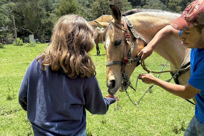 Horseback Riding in the Forest and Breakfast in Cabin - My take: should you book it?