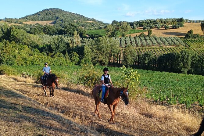 Horseback riding in the hills of Montepulciano in Tuscany - A quiet ride above Montepulciano