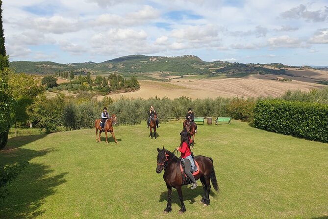 Horseback riding in the hills of Montepulciano in Tuscany - Meeting David and settling in with the horses