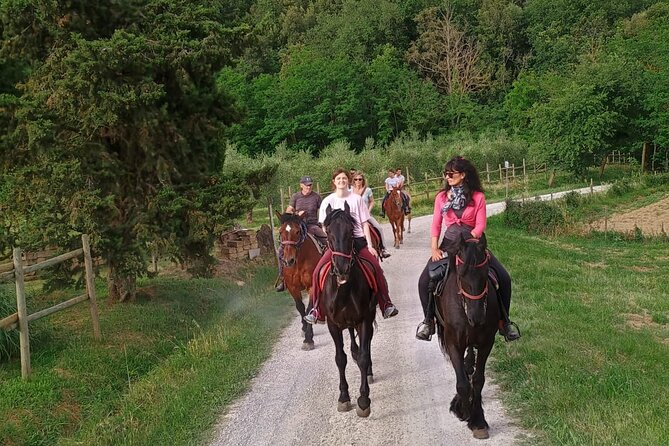 Horseback riding in the hills of Montepulciano in Tuscany - Getting to Località Bertille safely