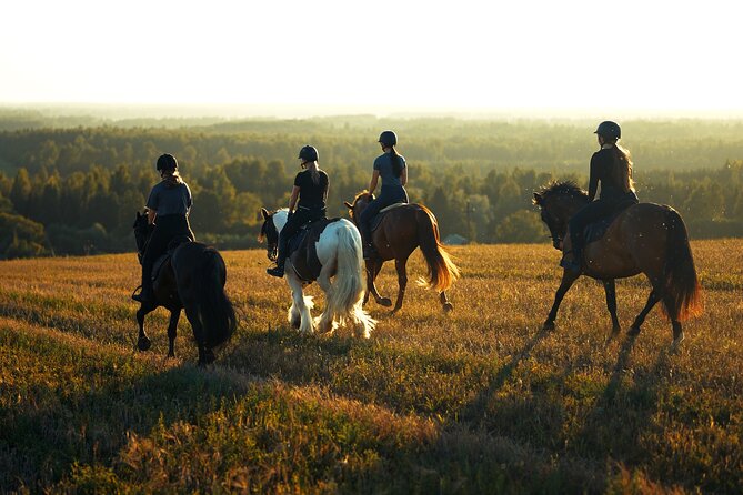 Horseback Riding in the Landscape - Key points to know before booking