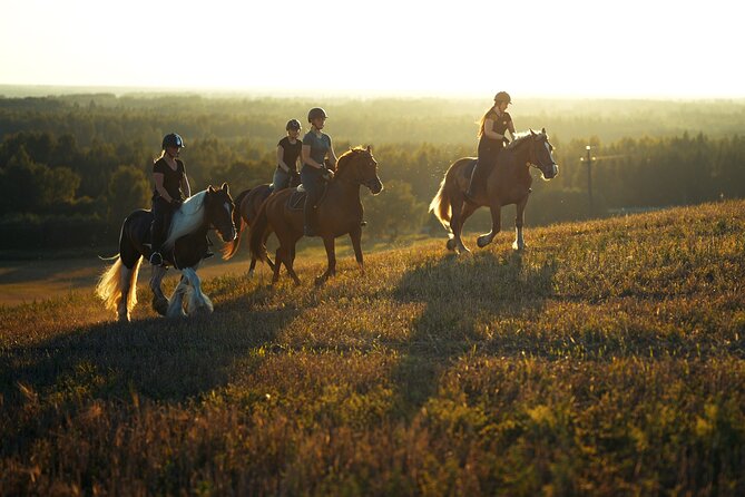 Horseback Riding in the Landscape - Meeting the horses at Metsapiiga Talu