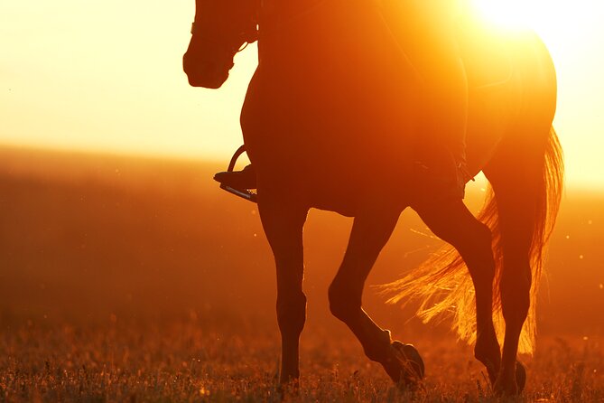 Horseback Riding in the Landscape - What the pace means for beginners