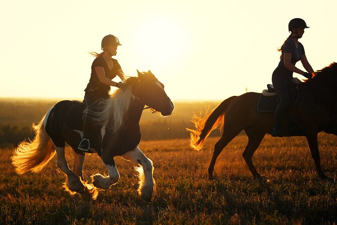 Horseback Riding in the Landscape - The farm atmosphere after the ride
