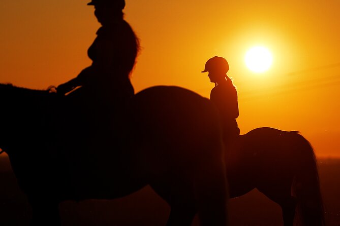 Horseback Riding in the Landscape - Who will get the most from this outing?