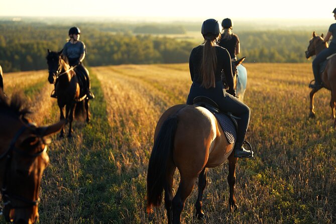 Horseback Riding in the Landscape - Riding through Jõgevamaa fields and forests