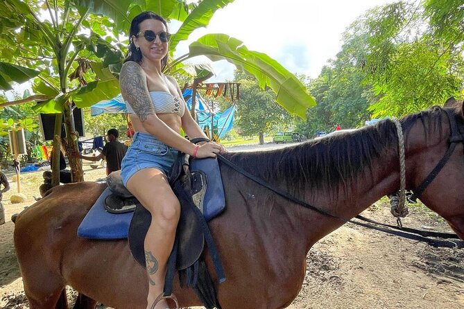 Horseback Riding In The Ocean from Montego Bay Private Transfer - Meeting the horse and learning the basics