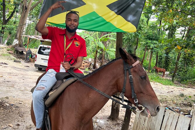 Horseback Riding In The Ocean from Montego Bay Private Transfer - Getting from Montego Bay to St Ann’s Bay