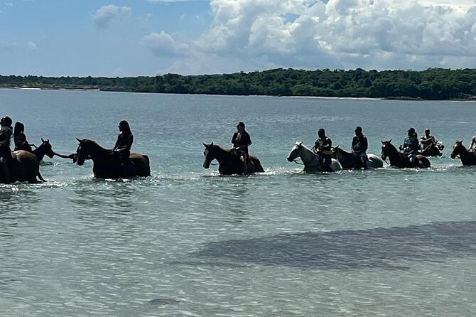 Horseback Riding in the Ocean from Ocho Rios & Runaway Bay - From Saint Ann’s Bay to Jamaica’s North Coast