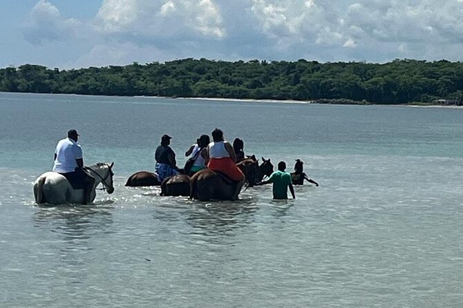 Horseback Riding in the Ocean from Ocho Rios & Runaway Bay - A nature walk before the saddle