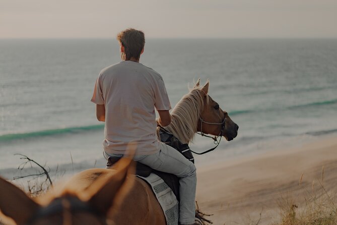 Horseback Riding In The Sand Dunes of Praia do Meco | LITS Horses - Why Praia do Meco makes a fine riding setting