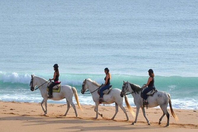 Horseback Riding in the sunset of Famara Beach, Lanzarote, Spain - Pickup, meeting point, and timing details