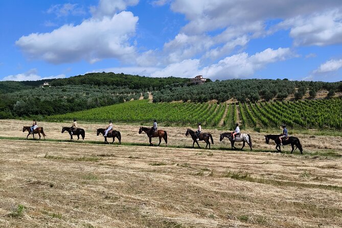Horseback Riding in the Vineyards - A Calm Ride Into the Tuscan Countryside