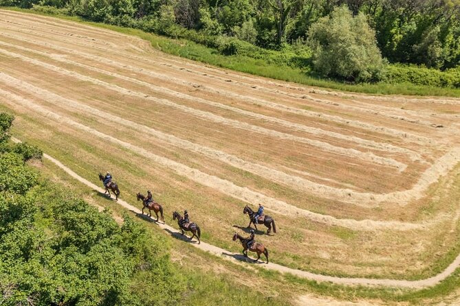 Horseback Riding in the Vineyards - The 25-Minute Introduction to Your Horse