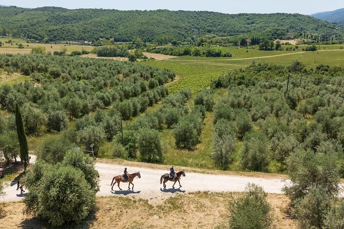 Horseback Riding in the Vineyards - What the $96.12 Price Covers
