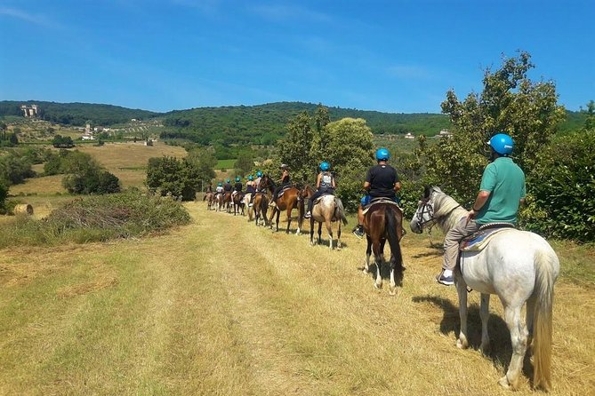 Horseback Riding in the Vineyards - Who Will Enjoy This Ride Most