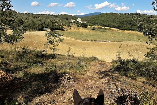 Horseback Riding in the Vineyards - Getting to Crazy Horse Ranch