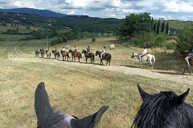 Horseback Riding in the Vineyards - Why the Small Group Matters