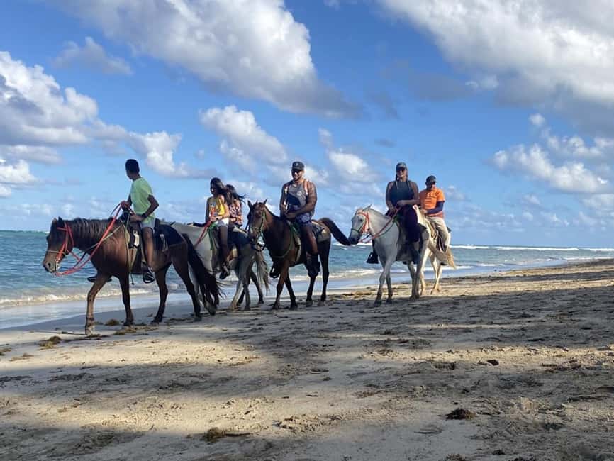 Horseback Riding Macao Beach Experience Paradise onHorseback - Why Playa Macao makes this ride appealing