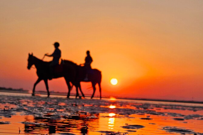 Horseback Riding Muscat Beach - Why the photos and videos add real value