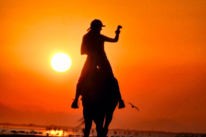 Horseback Riding Muscat Beach - Sunrise, sunset, or a daytime ride