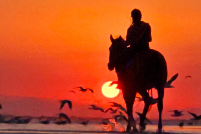 Horseback Riding Muscat Beach - Who will enjoy this ride most