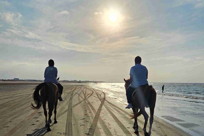 Horseback Riding Muscat Beach - What the first few minutes feel like
