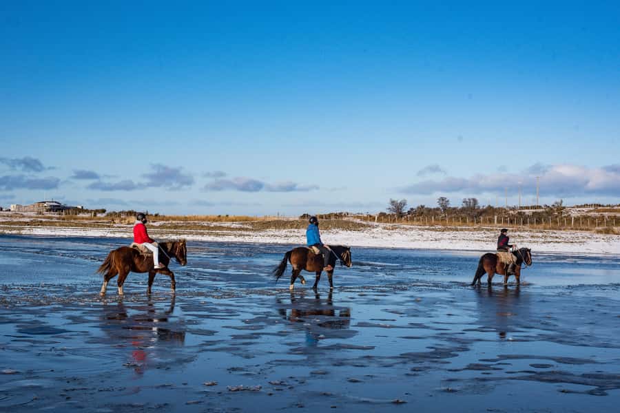 Horseback Riding near Strait of Magellan - Riding south from Punta Arenas to Agua Fresca Lodge
