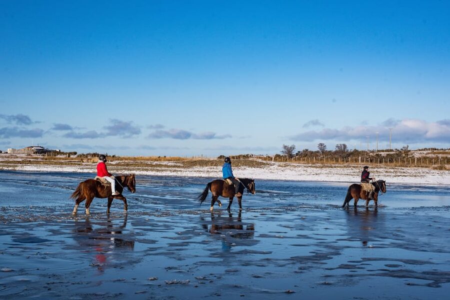 Horseback Riding near Strait of Magellan - Who will get the most from this ride?