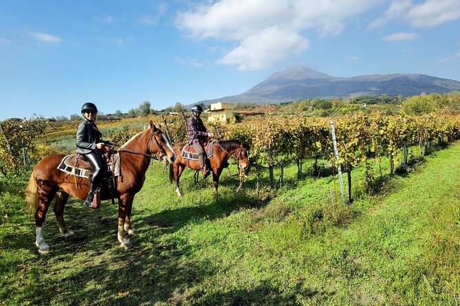 Horseback Riding on Mt. Vesuvius with Wine Tasting and Dinner - Riding Mount Vesuvius Instead of Simply Looking at It