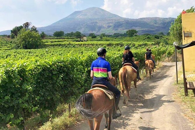 Horseback Riding on Mt. Vesuvius with Wine Tasting and Dinner - A Traditional Meal After the Saddle