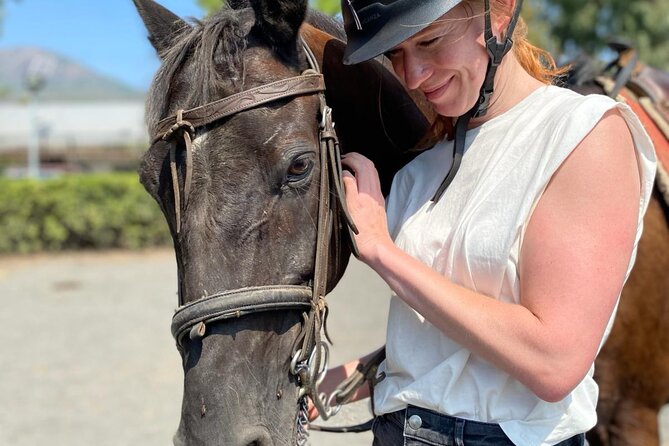 Horseback Riding on Mt. Vesuvius with Wine Tasting and Dinner - Is the $170.37 Price Fair?